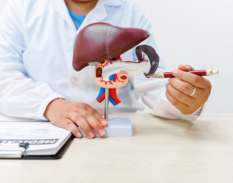 What Are the Common Liver Conditions and Their Symptoms?