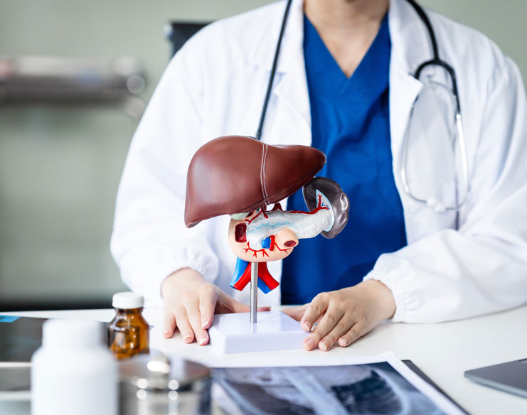 What to Expect During Liver Transplant Surgery